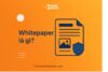 Ảnh minh họa Whitepaper gồm biểu tượng tài liệu kỹ thuật màu xanh, phong cách hiện đại, đặt câu hỏi Whitepaper là gì trên nền sáng – dùng cho bài viết giải thích khái niệm Whitepaper trong crypto cua thuvientiendientu.com