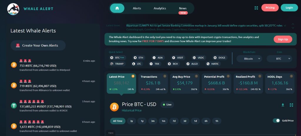 giao diện Whale Alert