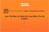 Pantera Capital – Những Nhà Tiên Phong: Làm Thế Nào Họ Sống Sót Qua Nhiều Chu Kỳ Crypto?